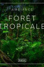 Ambiance - Forêt tropicale af Rasmus Broe