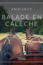 Ambiance - Balade en calèche af Rasmus Broe