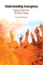 Understanding Insurgency af Francis O'Connor