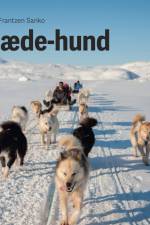 Slædehund, Grøn Fagklub af Maria Frantzen Sanko