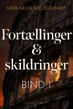 Fortællinger og skildringer (bind 1) af Meïr Aron Goldschmidt