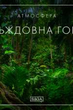 Атмосфера - Дъждовна гора af Rasmus Broe