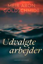Udvalgte arbejder af Meïr Aron Goldschmidt