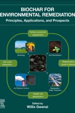 Biochar for Environmental Remediation af Willis Gwenzi