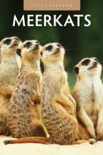 Meerkats 2025 Square Wall Calendar af Red Robin