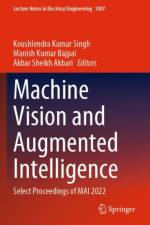 Machine Vision and Augmented Intelligence