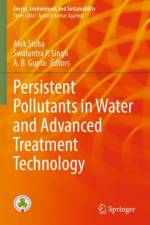 Persistent Pollutants in Water and Advanced Treatment Technology
