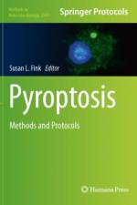 Pyroptosis