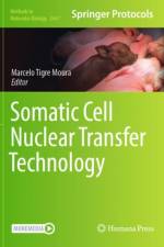 Somatic Cell Nuclear Transfer Technology