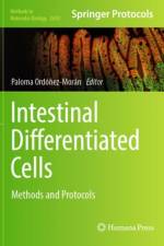 Intestinal Differentiated Cells