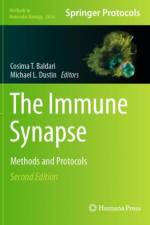 The Immune Synapse