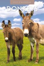 Donkeys 2025 Square Wall Calendar af Red Robin