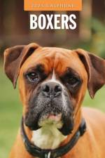 Boxers 2025 Square Wall Calendar af Red Robin