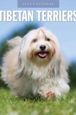 Tibetan Terriers 2025 Square Wall Calendar af Red Robin