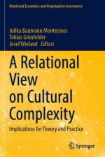 A Relational View on Cultural Complexity