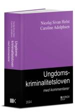 Ungdomskriminalitetsloven med kommentarer af Nicolaj Sivan Holst