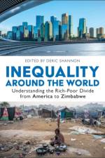 Inequality around the World