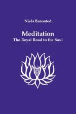 Meditation af Niels Brønsted