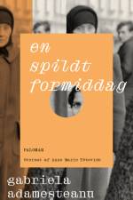 En spildt formiddag af Gabriela Adamesteanu