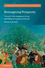 Reimagining Prosperity af Marija (University of Amsterdam) Bartl