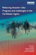 Reducing Disaster Risks