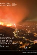 The Chemistry of Fires at the Wildland-Urban Interface af National Academies Of Sciences Engineeri