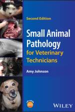 Small Animal Pathology for Veterinary Technicians af Amy (Bel-Rea Institute of Animal Technology Johnson