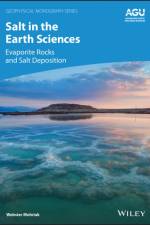 Salt in the Earth Sciences af Webster (Rio de Janeiro State University) Mohriak