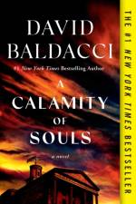 A Calamity of Souls af David Baldacci