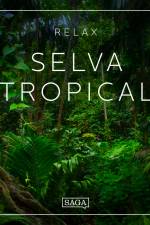 Relax - Selva tropical af Rasmus Broe