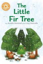 Reading Champion: The Little Fir Tree af Hilary Robinson