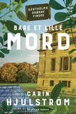 Bare et lille mord af Carin Hjulström