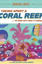 Inside Info: Taking Apart a Coral Reef