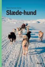 Slædehund, Grøn Fagklub af Maria Frantzen Sanko