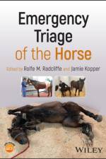 Emergency Triage of the Horse