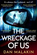The Wreckage of Us af Dan Malakin