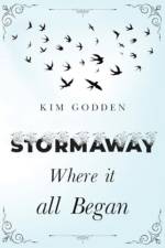Stormaway: Where it all Began af Kim Godden