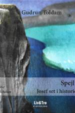 Spejlinger af Gudrun Toldam