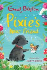 Pixie's New Friend af Enid Blyton