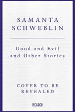 Good and Evil and Other Stories af Samanta Schweblin