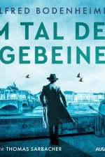 Im Tal der Gebeine af Alfred Bodenheimer