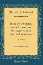Julie und Sophie, oder Land-und See-Abentheuer Dreier Liebenden: Ein Roman (Classic Reprint) af Theodor Hildebrand