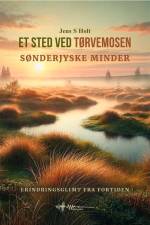 Et sted ved tørvemosen af Jens S. Holt