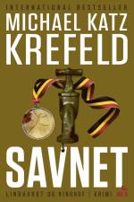 Savnet (Ravn-serien nr.2)