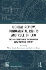 Judicial Review, Fundamental Rights and Rule of Law