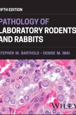 Pathology of Laboratory Rodents and Rabbits af Stephen W. (University of California Barthold