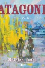Patagonia: Taith Mewn Paent