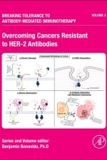 Overcoming Cancers Resistant to HER-2 Antibodies