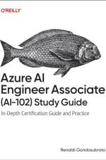 Azure Ai Engineer Associate Ai-102 Study Guide af Renaldi Gondosubroto