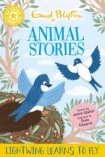 Reading Champion: Enid Blyton animal stories: Lightwing Learns to Fly af Jackie Walter